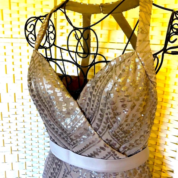 ✅ Angelina Faccenda taupe sequined formal maxi dress - Picture 11 of 16